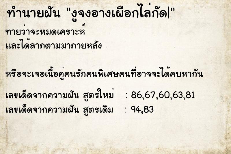 ทำนายฝันทำนายฝันงูจงอางเผือกไล่กัด|